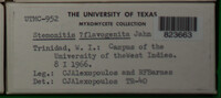 Image Associated With the Occurence